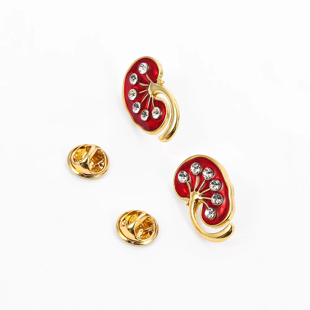 2 pcs/set Red Kidney Crystal Enamel Pin Medical Brooch Doctors Nurse Gift Gold Color Pins Women Trendy Jewelry Accessories