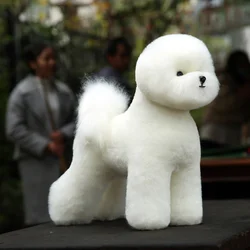 Model dog for grooming Practice Bichon mannequin set, 1 pcs Bichon dummy with 1 pcs bichon body wig