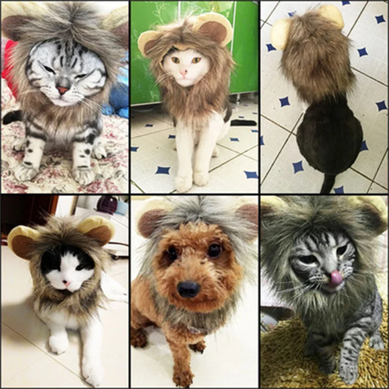 Cat Dog Lion Headwear Funny Soft Little Ears Helmet Cross Dress Hat Lion Wig Cool Cute Creative Hat Pet Headwear