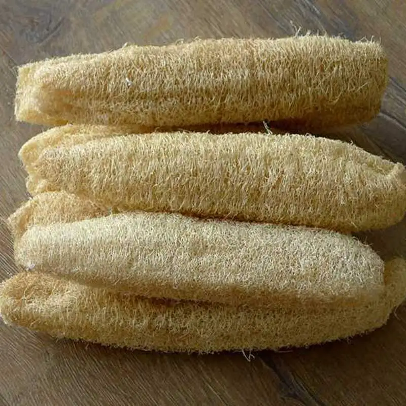 5 PCS Natural Organic Kitchen Loofah Sponges Large Body Back Scrubber for Men Women Adults SPA Beauty Bathing Daily Care