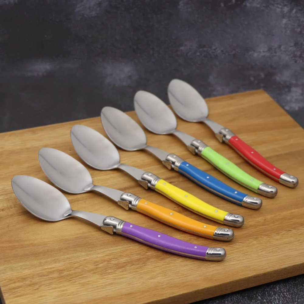 Bild 5: Laguiole 6-teiliges Löffel-Set, Mehrzweck-Löffel-Set mit Kunststoffgriff für Desserts, Edelstahl, westliches Lebensmittelbesteck