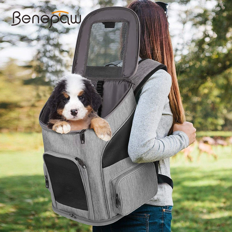 Benepaw Quality Breathable Small Dog Backpack Collapsible Pockets Safety Design Pet Carrier Cat Carrying Bag For Dogs Cat Travel