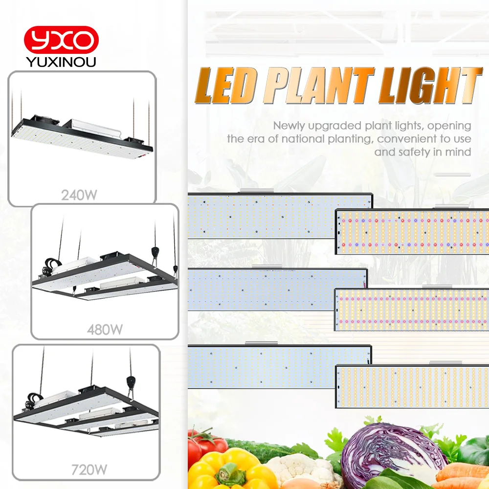 Imagem -06 - Sam-ng-full Spectrum Led Grow Lights Lm301h 240w 480w 720w Cresça a Luz para Vegetais de Interior Flor Mudas