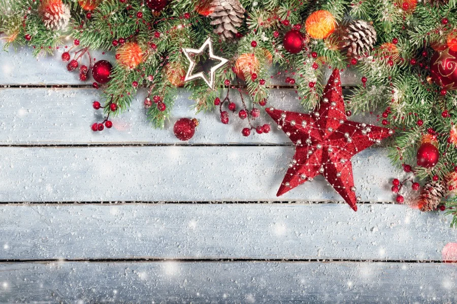 Laeacco cenário de natal flocos de nece, placa com estrelas pinheiro nozes, aniversário, fotografia, fundo para estúdio de fotografia