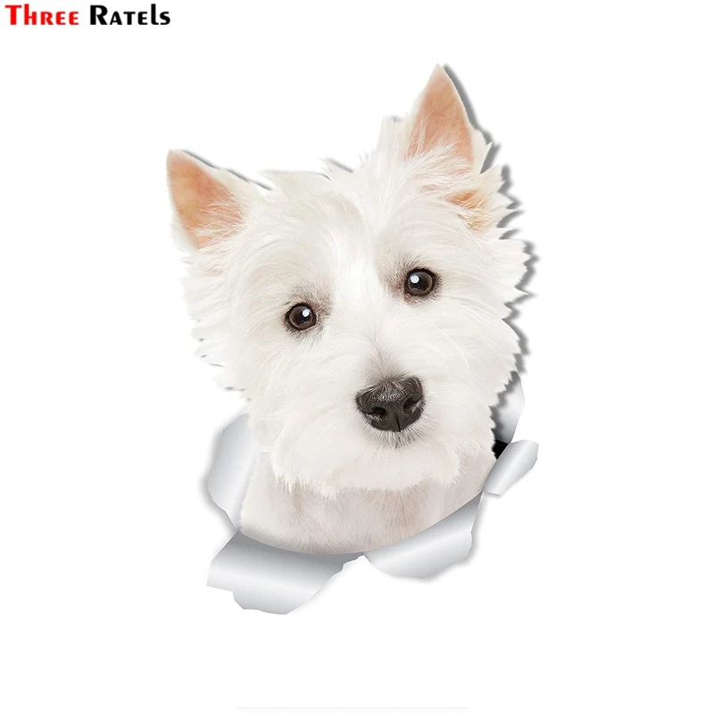 Three Ratels 3D Cute Westie Dog Wall West Highland White Terrier 3D Sticker Decals On Cars Toilet Bike 1098