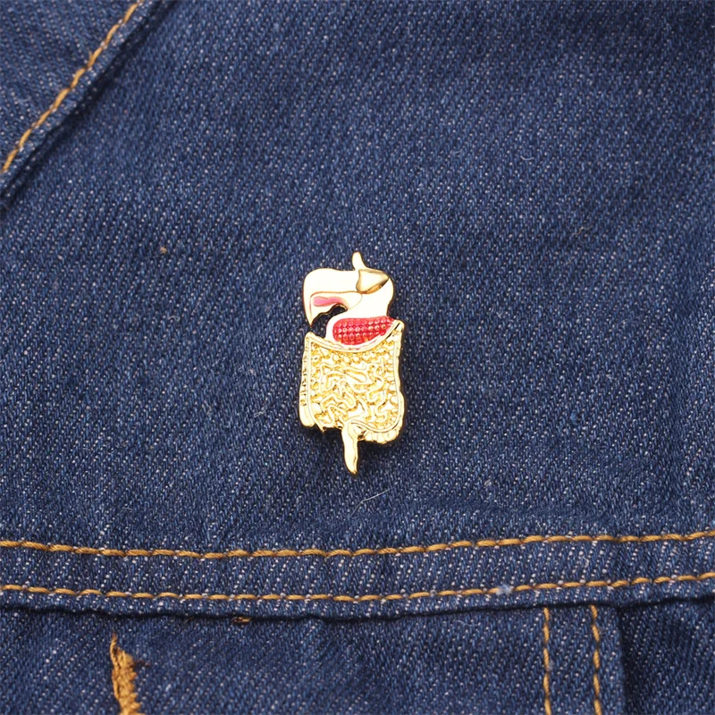 Bowels شكل بروش الذهب والفضة اللون المعدة دبوس المجوهرات الطبية للطبيب ممرضة علم الأحياء الطبية المتدرب هدية