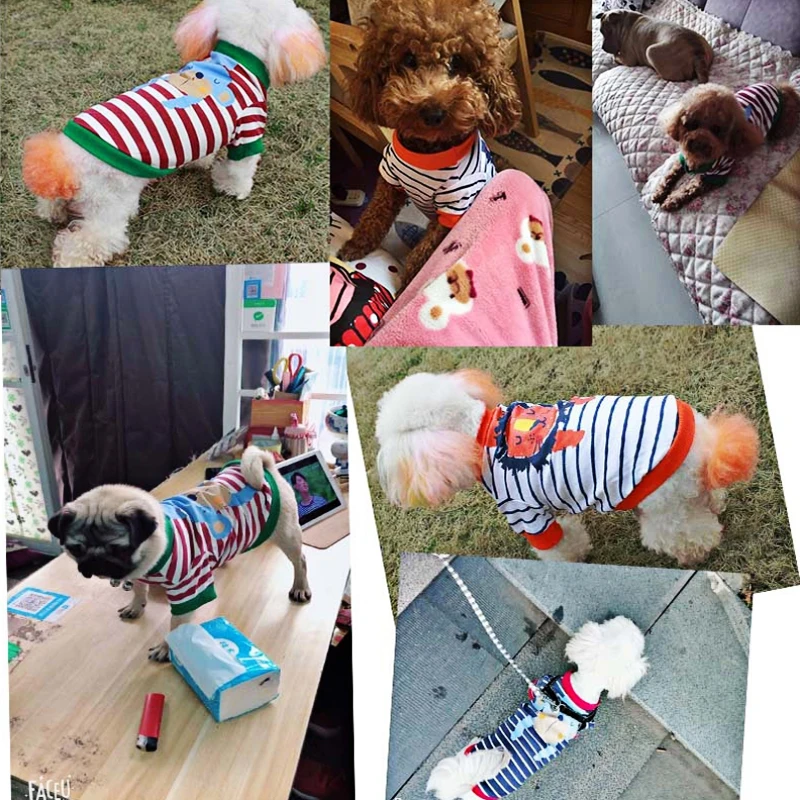 Dog Clothes For Dog Halloween Cats Clothing for Dogs Coat Shirts Pets Dog Mascotas Cats Clothes for Pet Hoodies Chihuahua