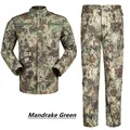 Mandrake Green