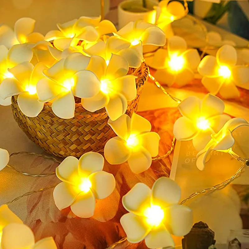 

Battery Operated Led Artificial Foam Plumeria Flower Christmas String Lights 40leds Garland Fairy Lights For Party Holiday Decor