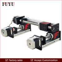 Wholesale Factory Supplier Linear Motor Actuator Stepper Motion Guide Ball Screw Rail