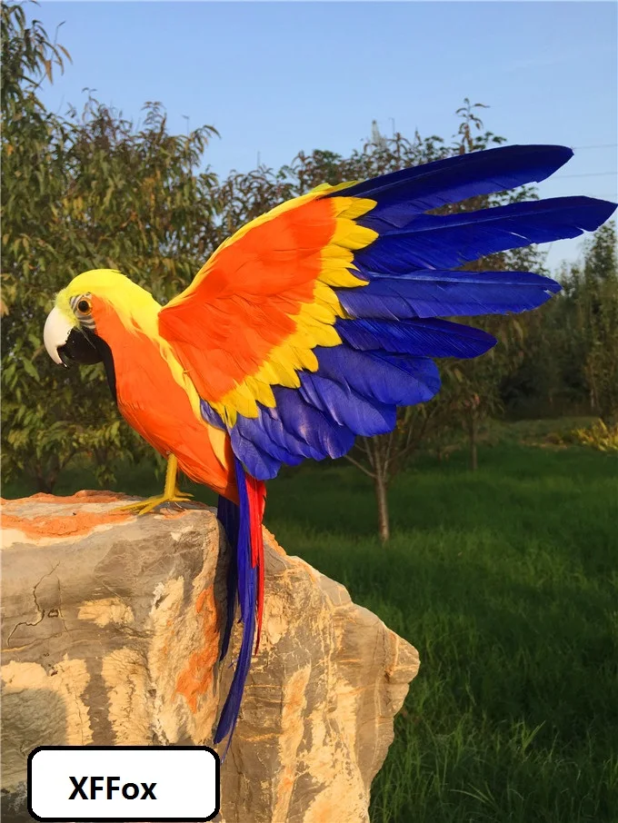 new real life orange-yellow-blue parrot model foam&feather wings parrot bird gift about 30x50cm xf2597