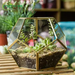 NCYP Modern Glass Terrarium Flower Pot Gold Geometric Terrarium Bonsai Flower Pots Plant Planter Desktop Display Flowerpot