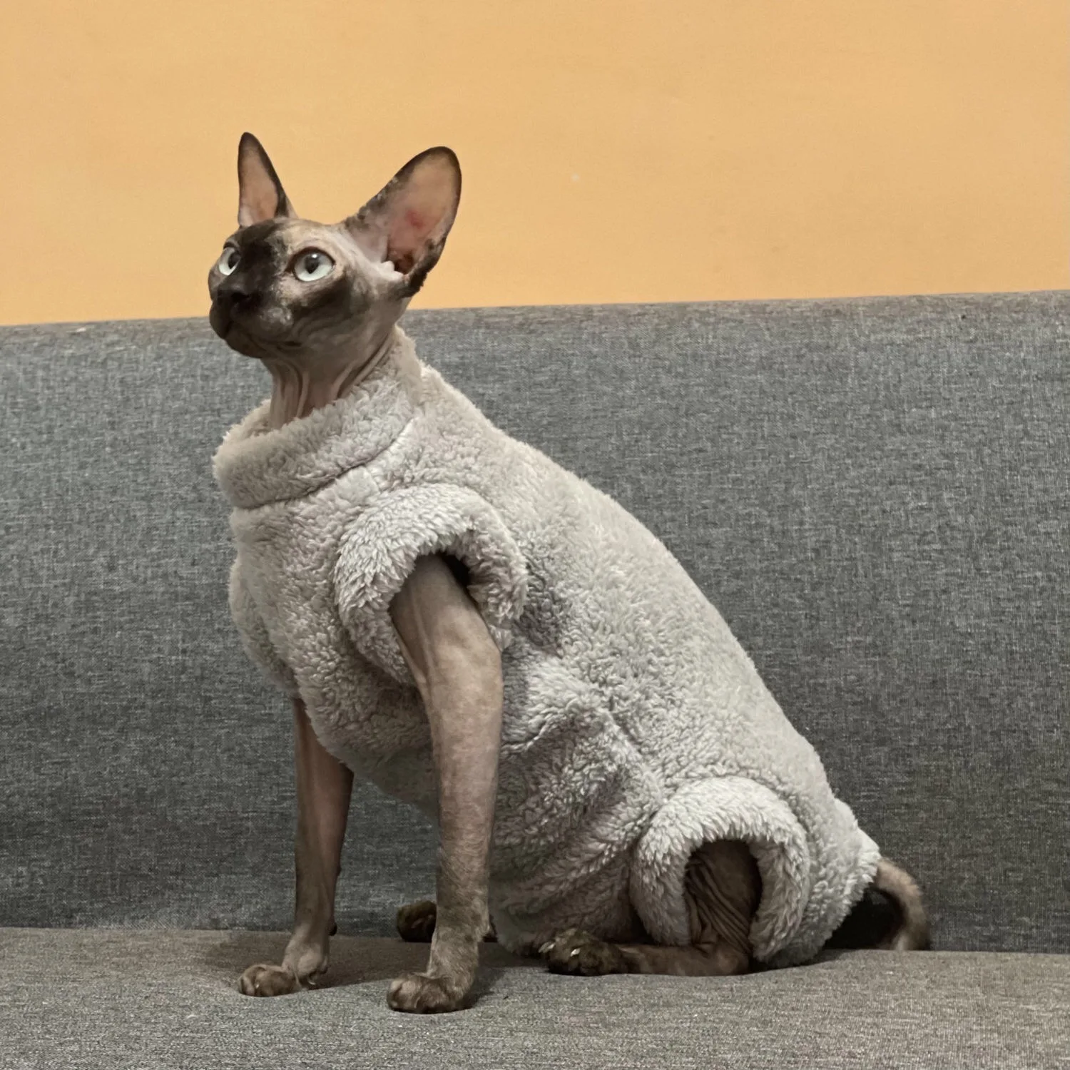 Cat Clothes Winter Thick Warm Stretch Hairless Jumpsuit Belly High Collar Cat Sweater Sphinx Cat Hoodie