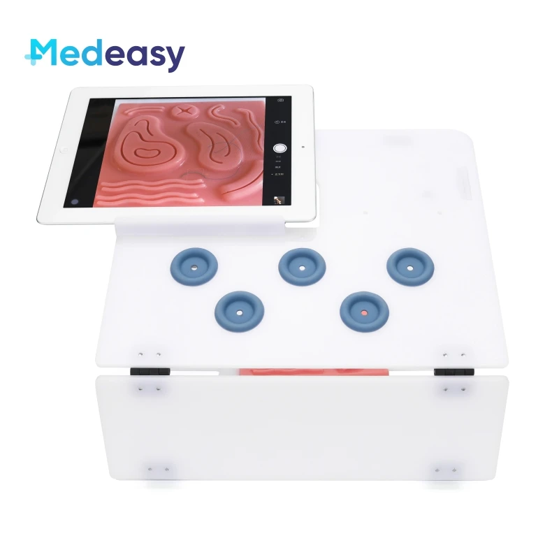 

Laparoscopy Surgery Laparoscopic Training Simulator Box Surgical Practice Trainer