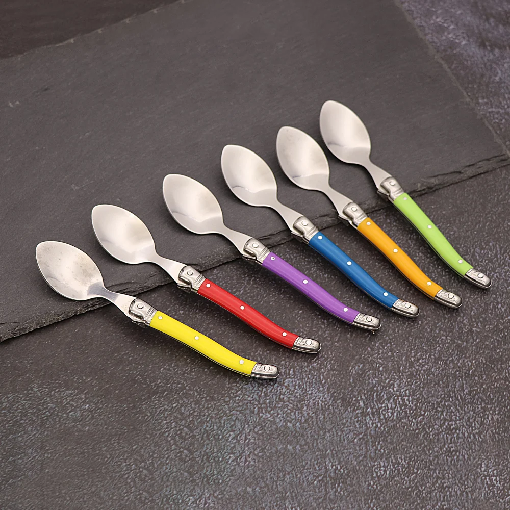 6pcs Stainless Steel Laguiole Coffee Spoons Set Plastic Handle Spoon Set for Tea Tableware Colorful Small Spoon