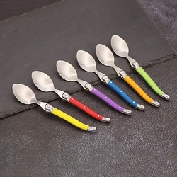 6pcs Stainless Steel Laguiole Coffee Spoons Set Plastic Handle Spoon Set for Tea Tableware Colorful Small Spoon