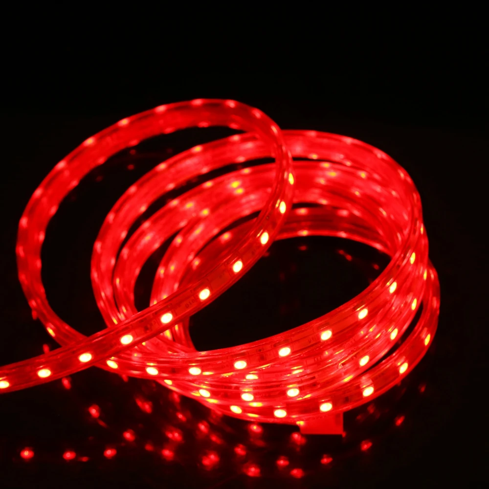 220V Flexible LED Strip Light SMD 5050 Waterproof 60leds/m 1m 5m 10m 15m 20m 100m Warm White/White/RGB Ribbon with Switch Plug