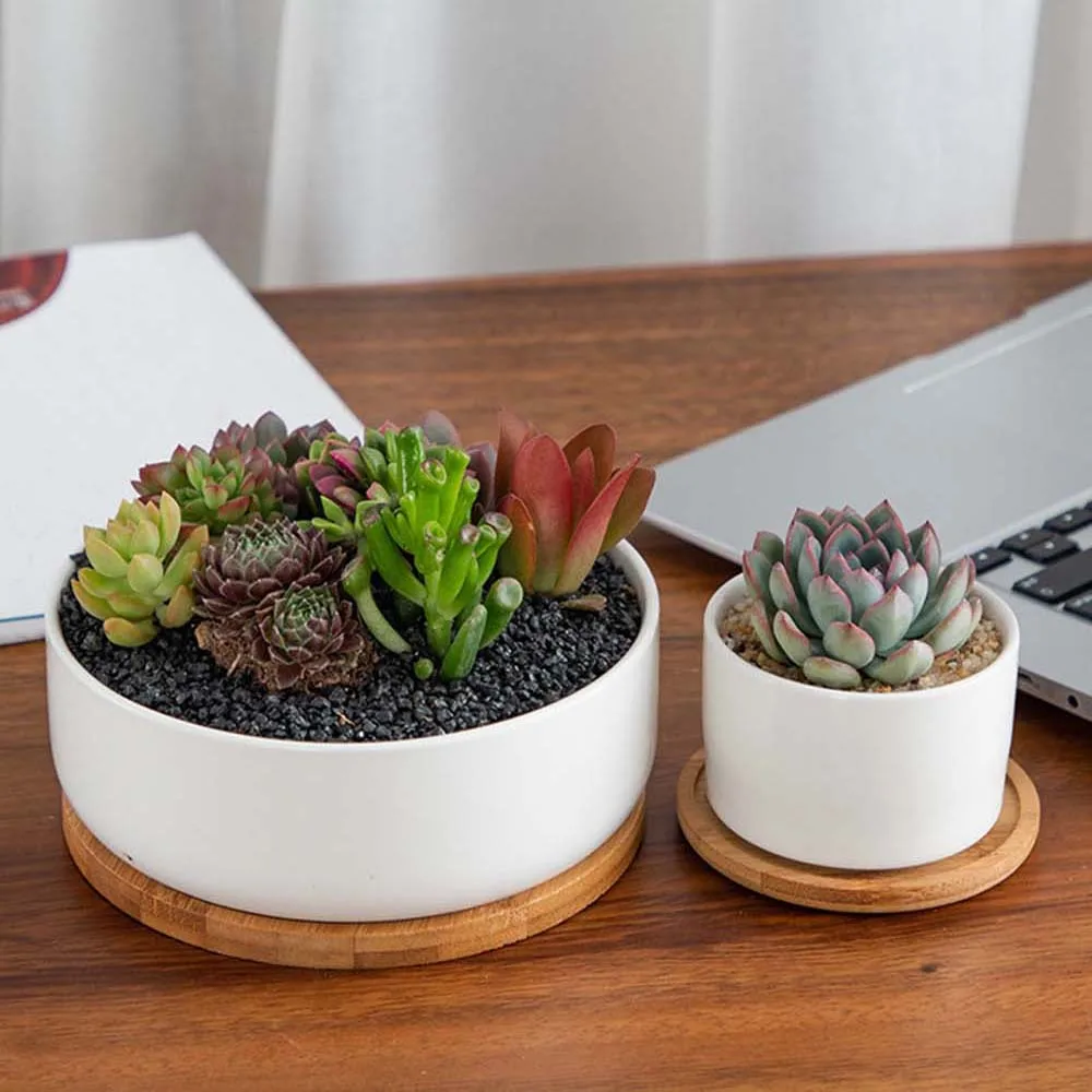 Gift Succulents Bonsai Holder Planters Pot Stander Flowerpot Base Bamboo Wood Tray Round Square Hexagon Rectangle
