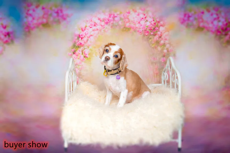 Laeacco Watercolor Flowers Arch Door Baby Newborn Love Party Portrait Scenic Photo Background Photography Backdrop Photocall