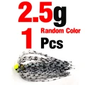 1PCS  2point5g