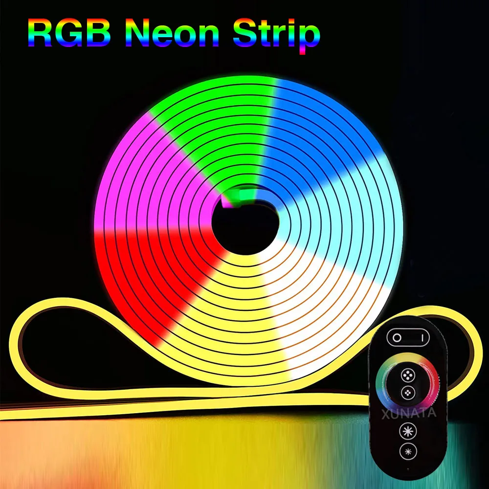 AC 220V 110V Neon RGB Strip wodoodporny Neon odkryty wystrój wnętrz ue usa AU UK zestaw ze zdalną elastyczną wstążką 5050 LED Strip