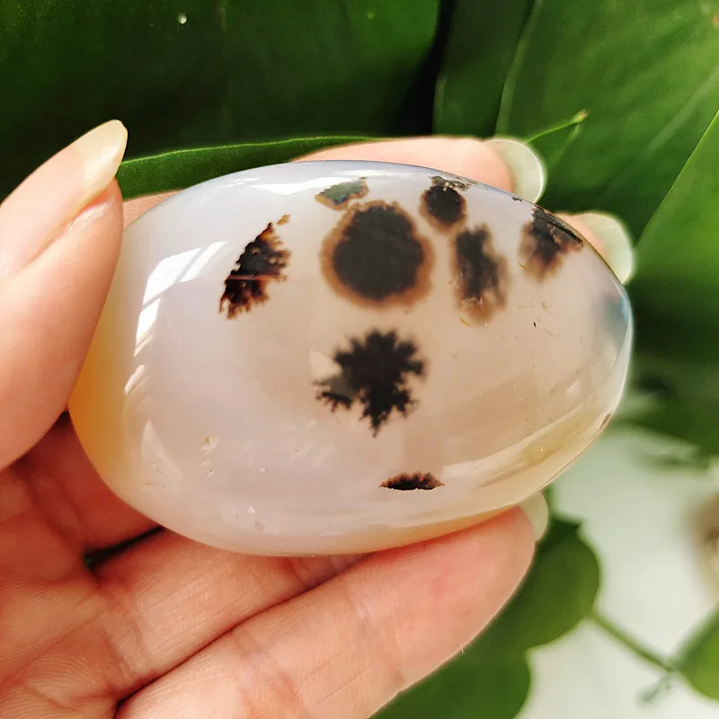 

Natural Water Plant Agate StonePalm Stone Plaything Stone Yoga Stone Exercise Stone Material Spiritual Meditation Feng Shui Heal