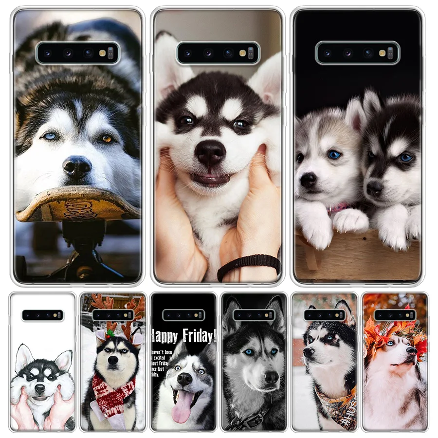 Силиконовый чехол для телефона с изображением сибирской хаски собаки для Samsung Galaxy A51, A50, A71, A70, A41, A40, A31, A30, A21S, A20E, A10, A6, A7, A8, A9, чехол Ph Силиконовый чехол для телефона с изображением сибирской хаски собаки для Samsung Galaxy A51, A50, A71, A70, A41, A40, A31, A30, A21S, A20E, A10, A6, A7, A8, A9, чехол Ph