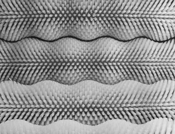 آلة غسل لفة الفرشاة التجارية آلة تقشير البطاطس الحلوة متعددة الوظائف آلة تنظيف تقشير الفولاذ المقاوم للصدأ