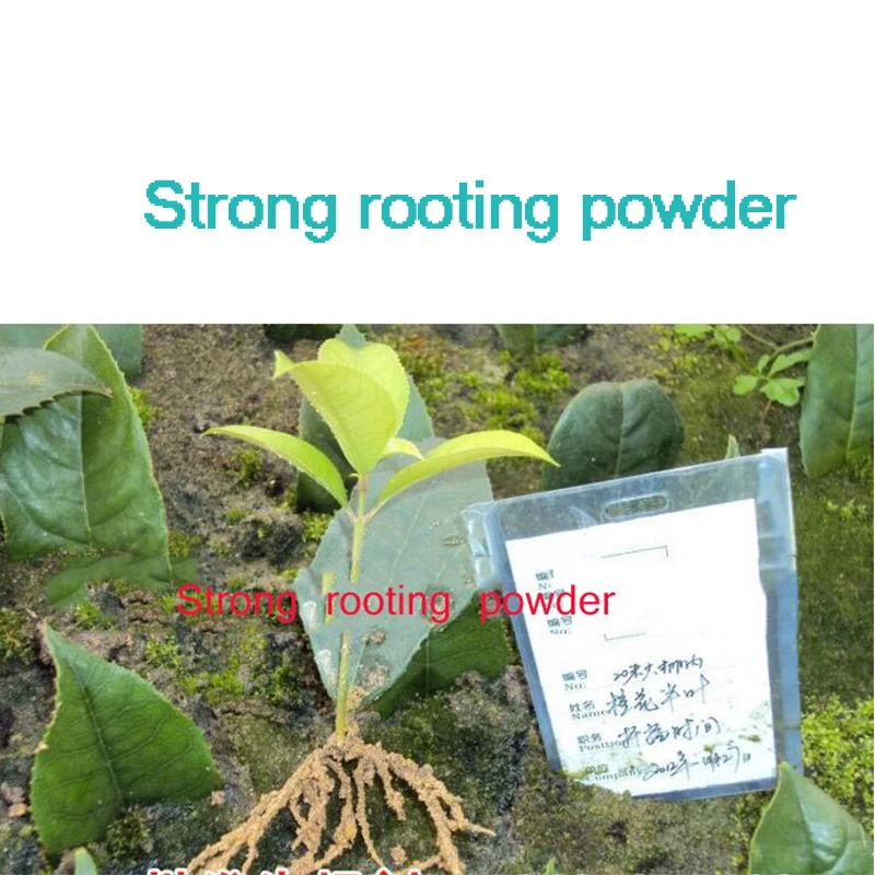 2pcs Flower Strong rooting powder growing roots seedling strong recovery root vigor germination aid fertilizer Garden medicine