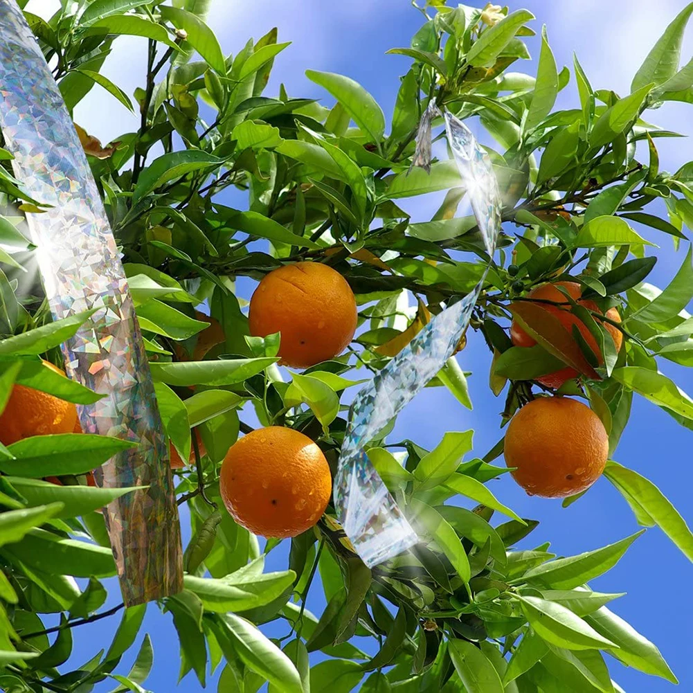 Protection anti-reflet, 50m/80m