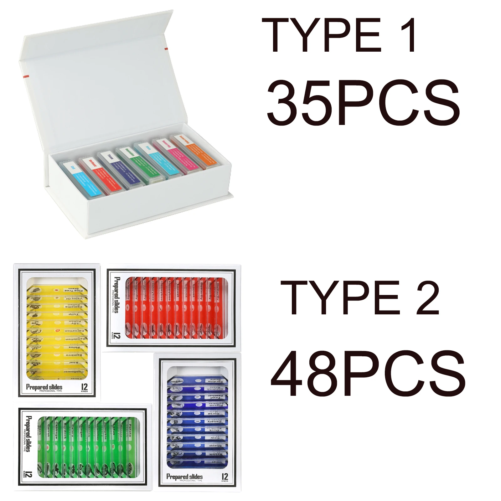 35/48 Piece of  Microscope Specimen Slide Biological Prepared Digital Microscope Specimen Slide Primary and Secondary Gifts