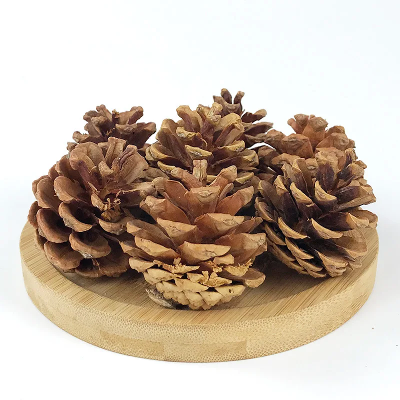 1pc Pet Teeth Grinding Toy Pine Cones Toy For Guniea Pig Rabbit Chinchilla Small Pet Molar Pine Cones Toy High Quality Toy view 2