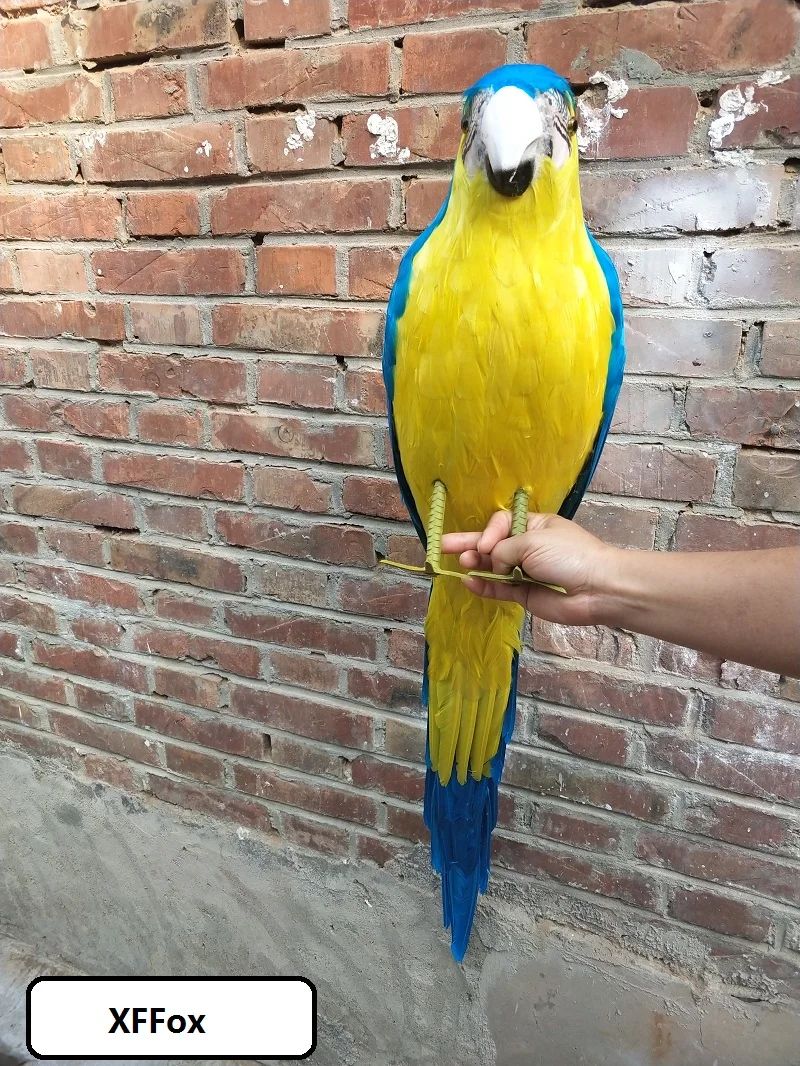 big real life blue&yellow parrot model foam&feather simulation parrot bird gift about 100cm xf0212