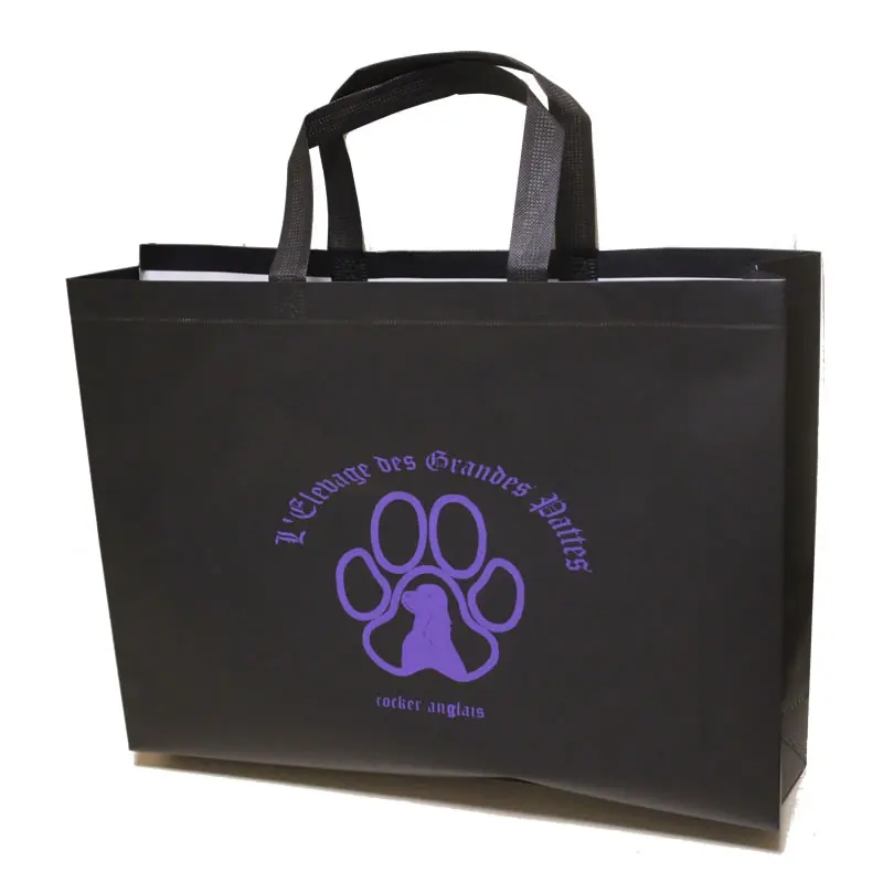 Shopping Gift Glossy Lamination Non Woven Bag, Reusable Print Logo Custom Environment Friendly, High Quality