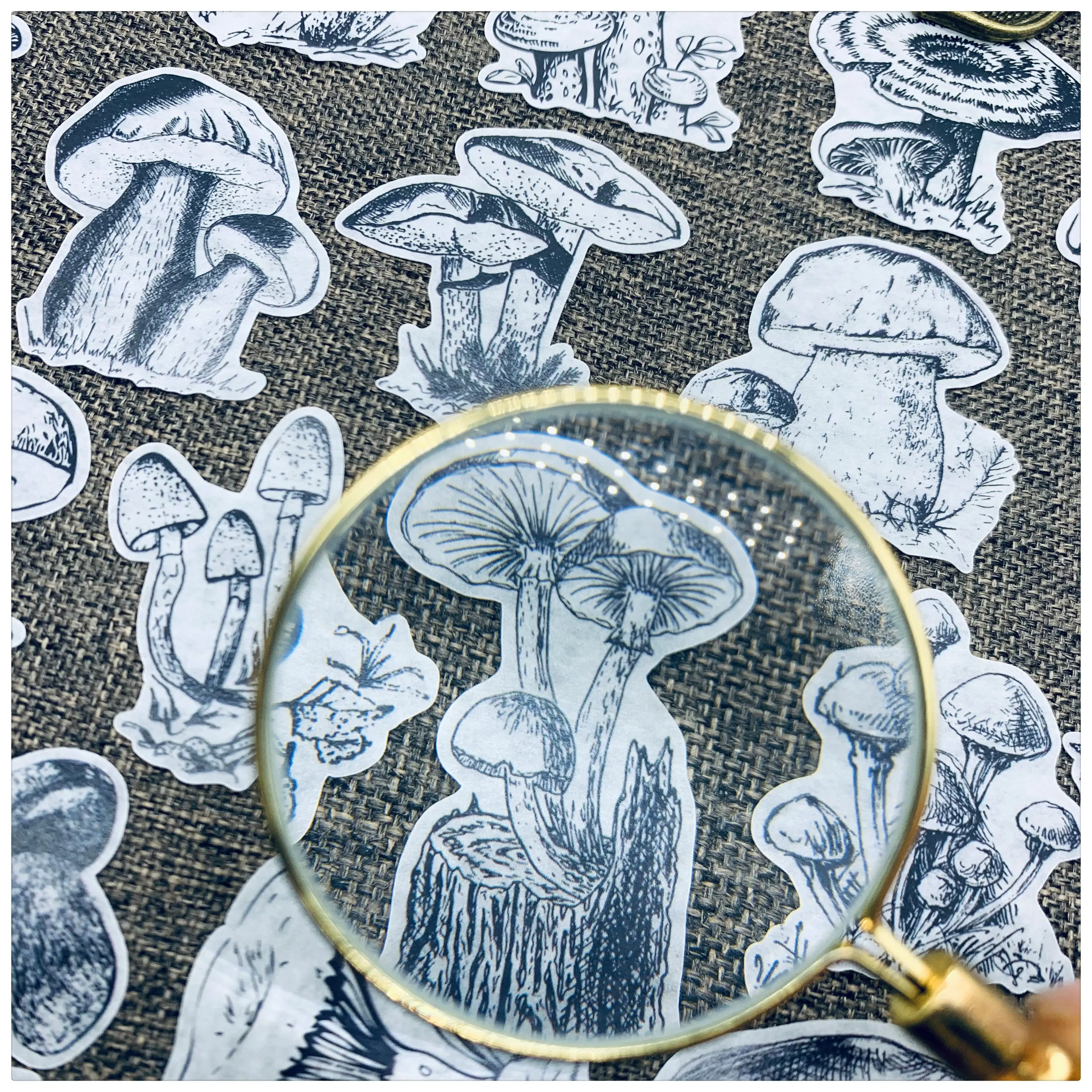 Vintage Black White Mushroom Stickers DIY Scrapbooking Album Journal Crafts Decorative Label Seal Phone Stickers Package