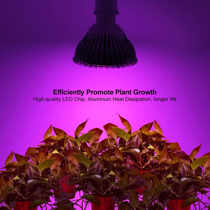 LED Plant Growth Light Bulb, Full Spectrum Plant Light, Succulent Fill Light, Indoor Plants, Vegetables, Flowers, 30W, 50W, 80W