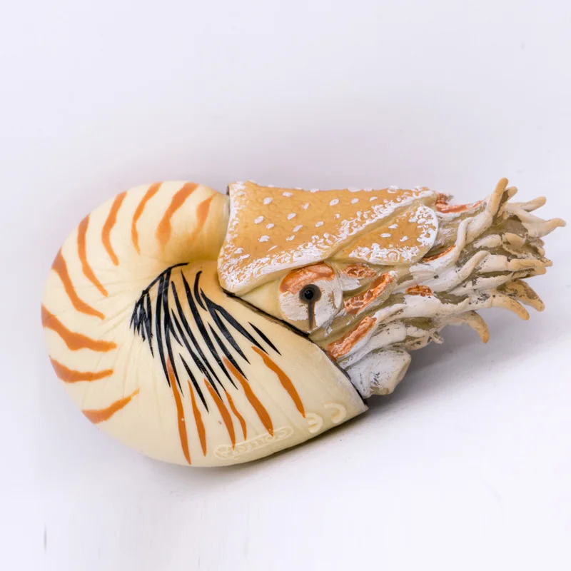 2020 New CollectA Prehistoric Animals Ocean Nautilus pompilius Nature Educational Model PVC Plastic Figure #88907