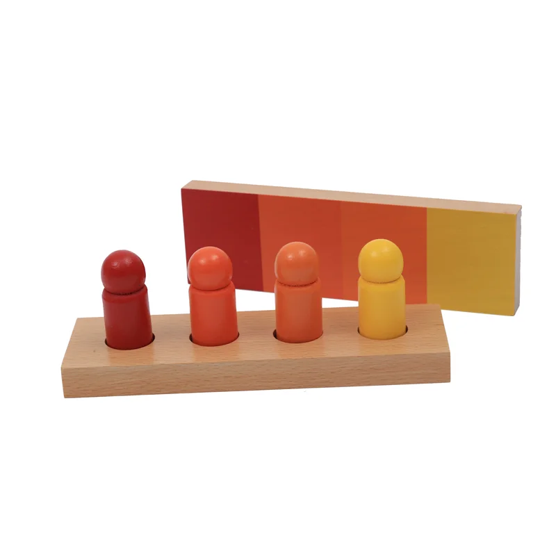 Montessori Sensorial Materials Colour Resemblance Sorting Task Cylinders and Boards Early Childhood Education Game for Children