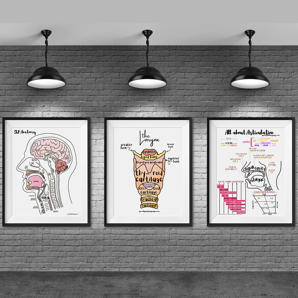 Human Head Brain Oral Cvity Anatomy Poster Vintage Print Neuroscience Physiology Wall Art Pictures Doctors Office Home Decor