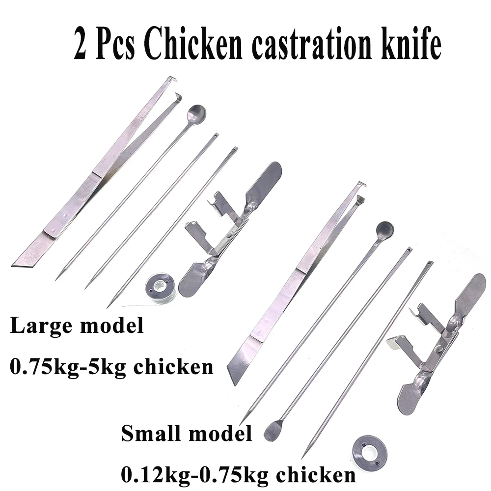 2PCS Stainless Steel Poultry Capon Kit Cock Rooster Caponizing Caponize Instrument Tools For Adult Chicken Day Old Chick Farm