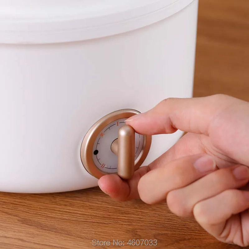 220V Multifunctional Electric Cooker Heating Pan Student dormitory Cooking Pot Machine Hotpot Noodles Eggs Soup mini rice cooker