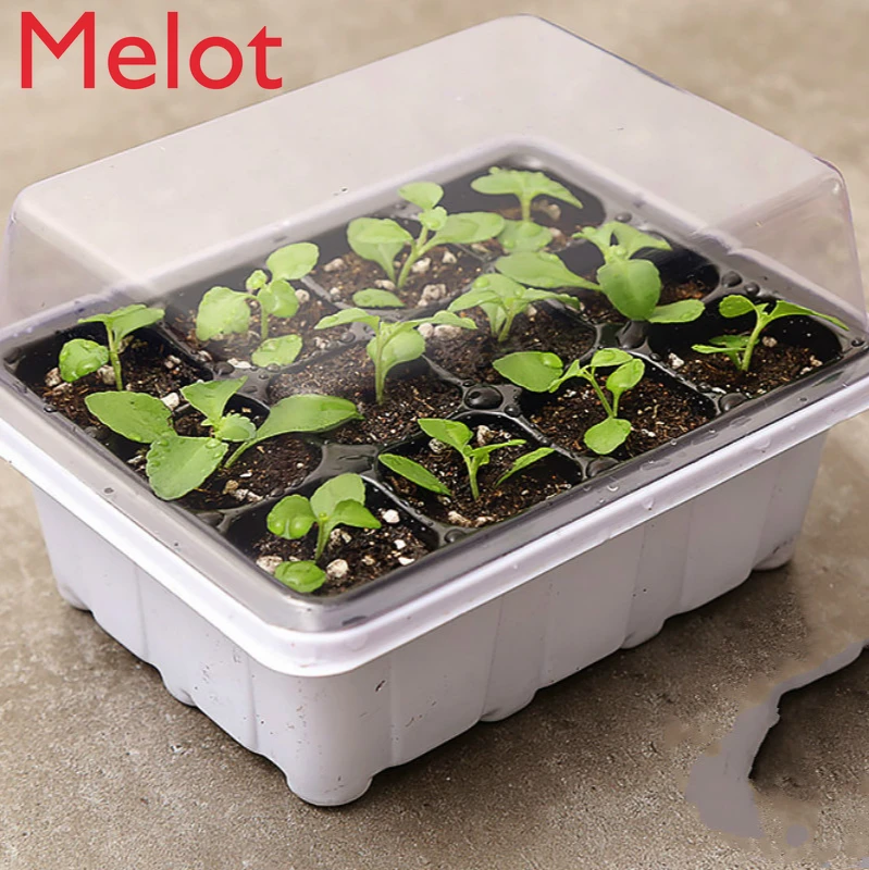 Three-Piece Set Plastic Seedling Pot Heat Preservation Moisturizing Cultivation Flower Sprout Vegetable Succulent Flower Pot