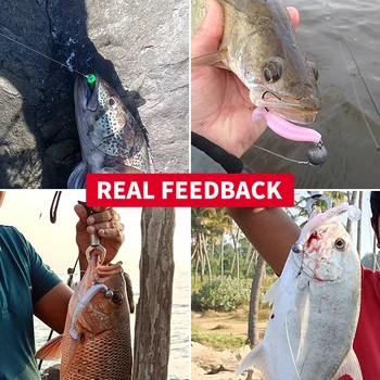 Crazy Shiner Lures 6