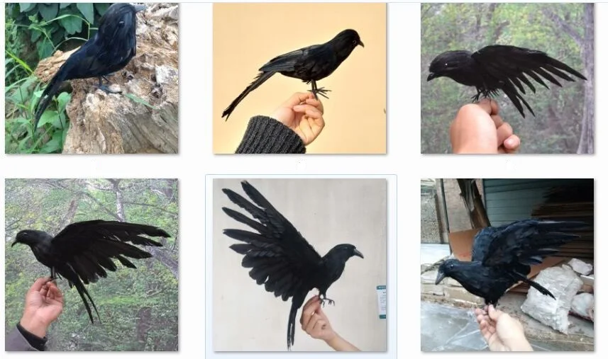 real life bird feathers crow spreading wings crow model ornaments handicraft,home garden decoration gift a2966