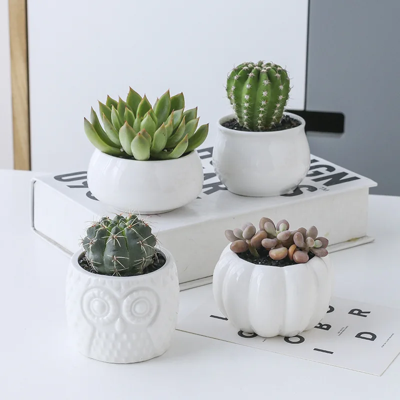 Creative Succulent Plant Shelves Flower Display Stand Bamboo Frame Ceramic Flowerpot Plant Tray