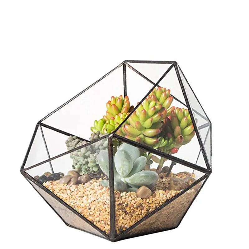 New Glass Terrarium Storage Box Jewelry Holder,Glass Geometric Terrarium Tabletop Succulent Plant Box Planter Holder