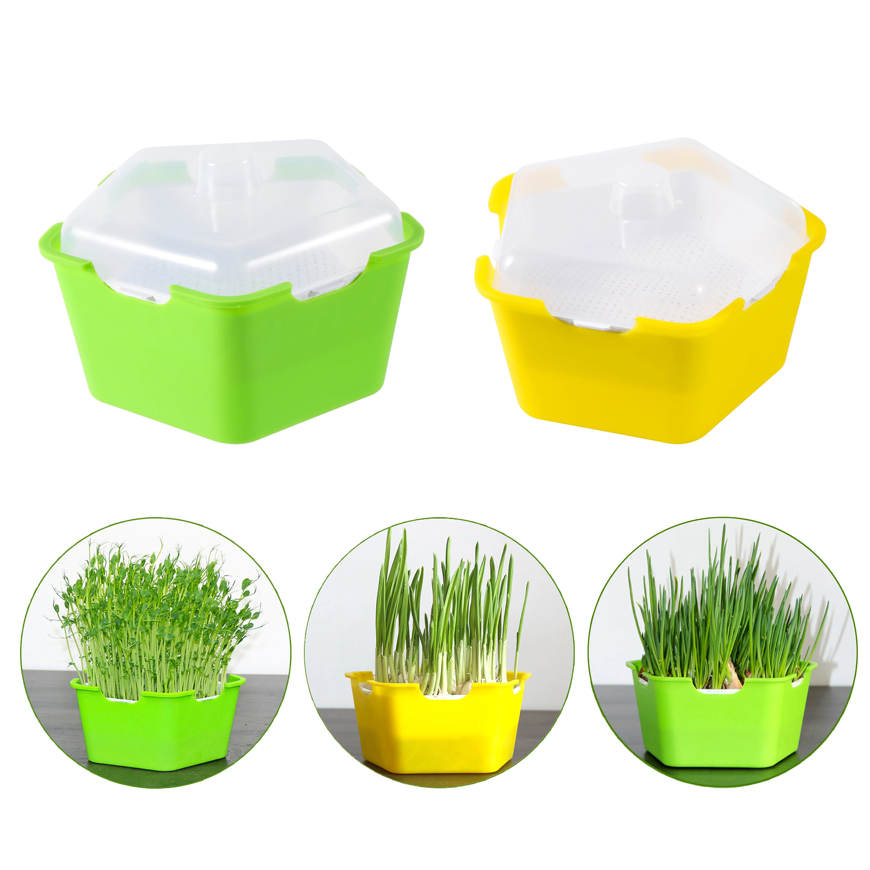 Pentagonal Plastic Sprout Planting Pot Box Bean Pea Sprouter Seedling Tray Wheat Grass Cat Grass Nursery Growing Germination Kit