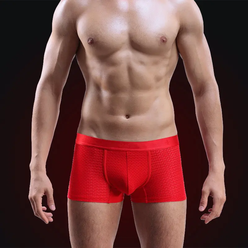 4pcs/Lot Men\'s Panties Boxer Shorts Underwear Underpants Mesh Man Slip Male Sexy Large Ropa Interior Hombre Plus Size 5XL-8XL