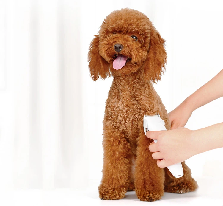 Pawbby-recortador de pelo recargable por USB para mascotas, Afeitadora eléctrica profesional para perros y gatos, para el cuidado de mascotas