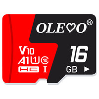 Memory Card 32GB 64GB 256GB 512GB Mini SD Card 128GB EVO Plus Flash Class 10 UHS-I High Speed TF Card for Mobile Phone